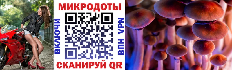 Галлюциногенные грибы Psilocybine cubensis закладка блэк спрут сайт Азов